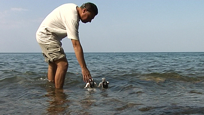 Ballettikka Internettikka Nipponnikka – Seawater Training 01 Ballettikka Internettikka Nipponnikka – Seawater Training 01