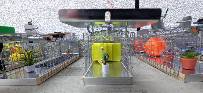 stromajer_kvantna-zarja-03