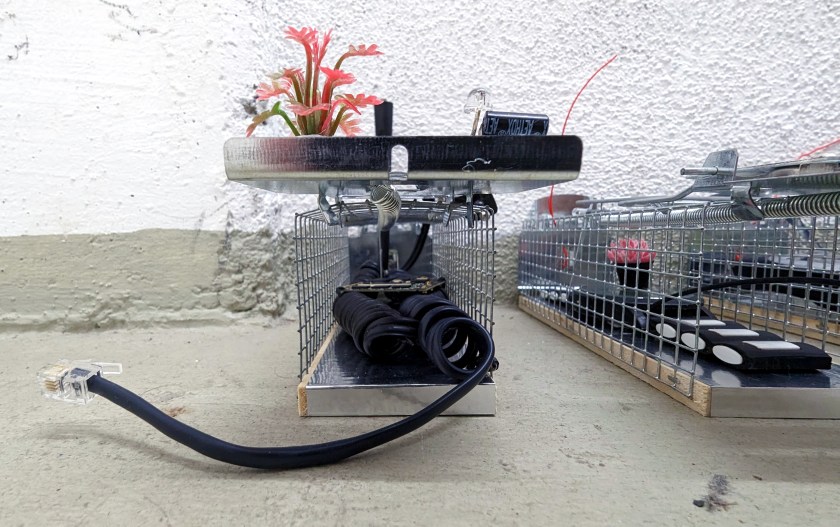 stromajer_kvantna-zarja-04